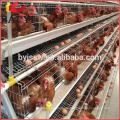 3 Tiers Layer Chicken Poultry Battery Cages for Nigerian Farm